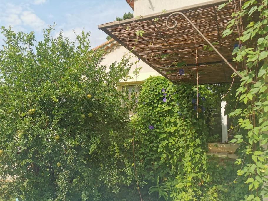 Maison Avec Piscine Dans Village Provencal. Courthézon Kültér fotó